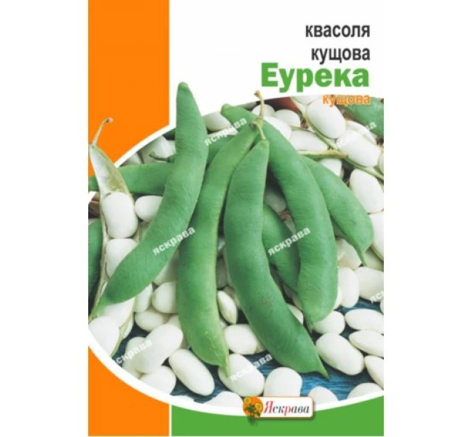 Квасоля Еурека кущова 30г