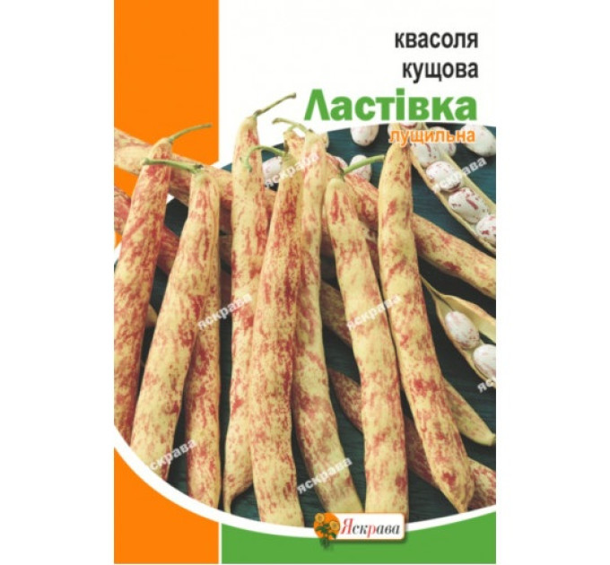 Квасоля Ластівка кущова 30г