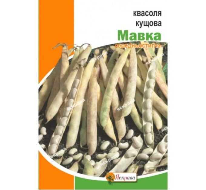 Квасоля Мавка кущова 30г