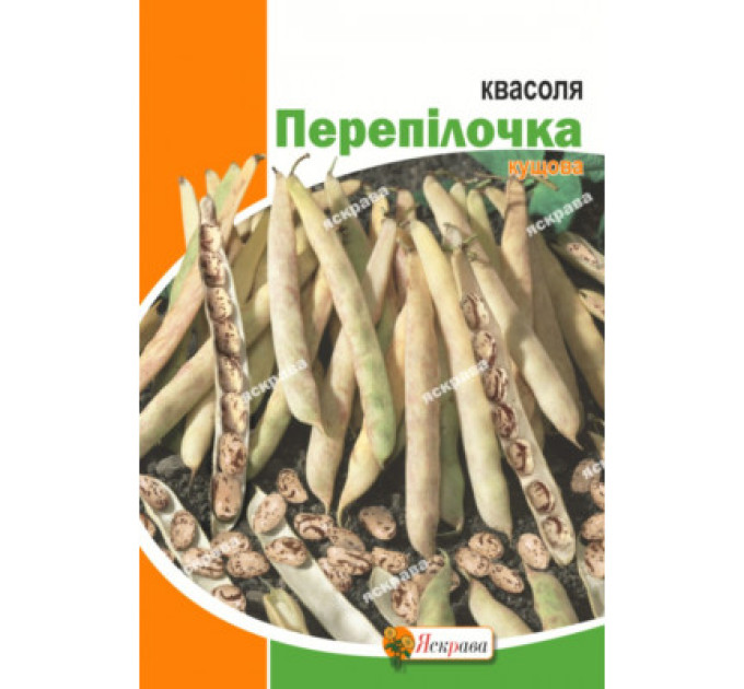 Квасоля Перепілочка 20г кущова