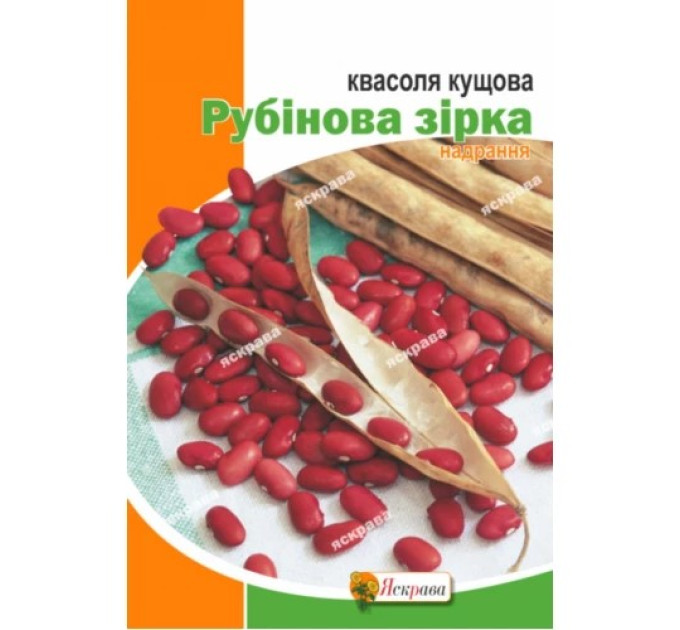 Квасоля Рубінова Зірка кущова 20г