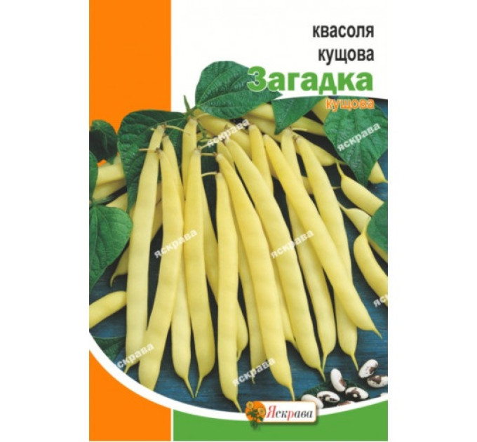 Квасоля Загадка кущова 20г