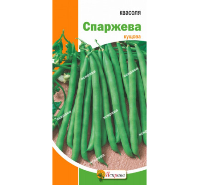 Квасоля Зелена спаржева 10г