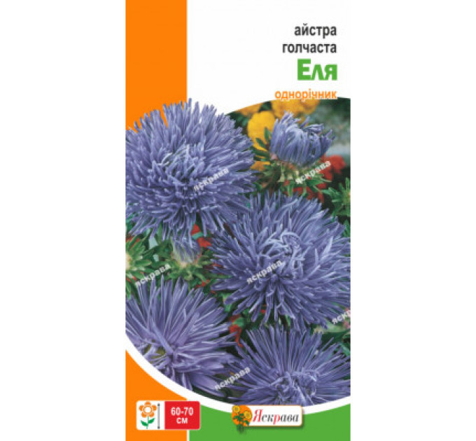 Квіти Айстра голчаста Еля 0,3г