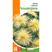 Квіти Айстра голчаста Гольдштраль 0,3г