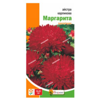 Квіти Айстра карлик Маргарита 0,3г