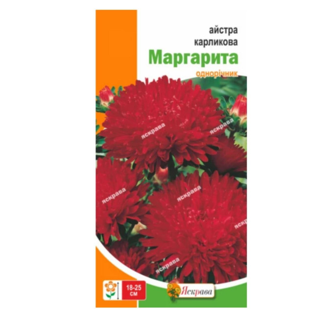 Квіти Айстра карлик Маргарита 0,3г
