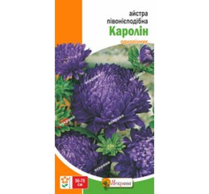 Квіти Айстра пiвонiєподібна Каролiн 0,3г