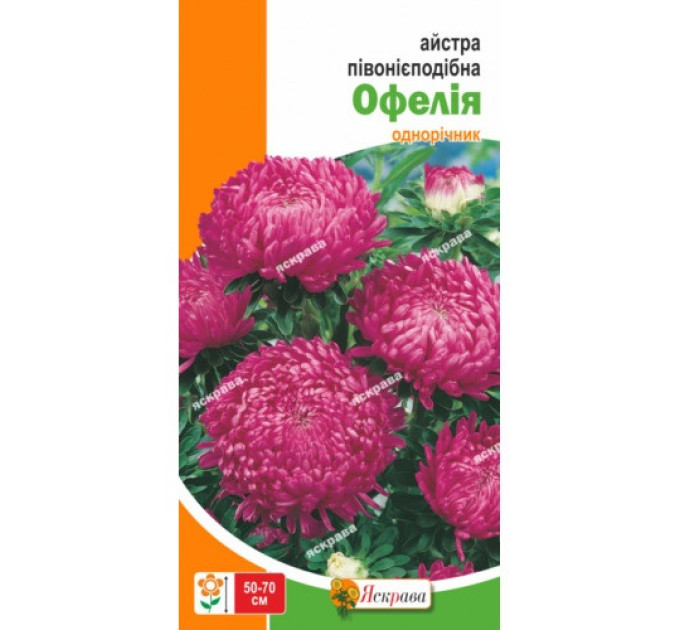 Квіти Айстра пiвонiєподібна Офелiя 0,3г