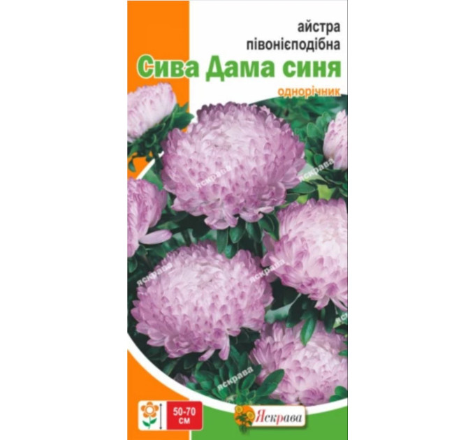 Квіти Айстра півонієподібна Сива Дама синя 0,3г