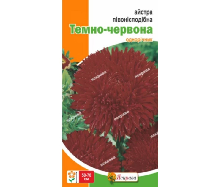 Квіти Айстра пiвонiєподібна Темно-червона 0,3г
