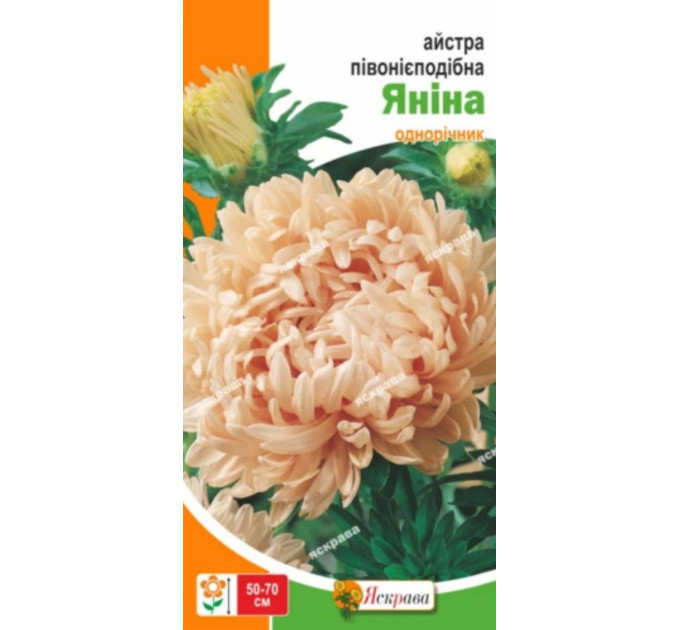Квіти Айстра пiвонiєподібна Янiна 0,3г