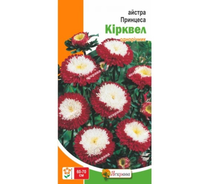 Квіти Айстра Принцеса Кiрквел 0,3г