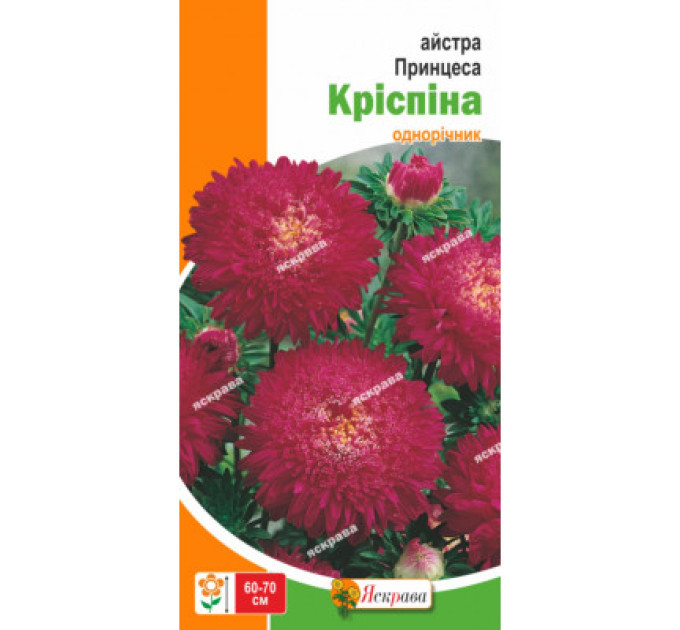 Квіти Айстра Принцеса Кріспіна 0,3г