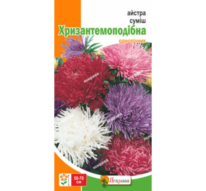 Квіти Айстра суміш Хризантемоподібна 0,3г