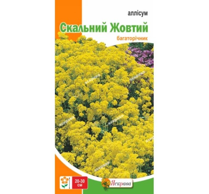 Квіти Аліссум Скальний жовтий 0,2г