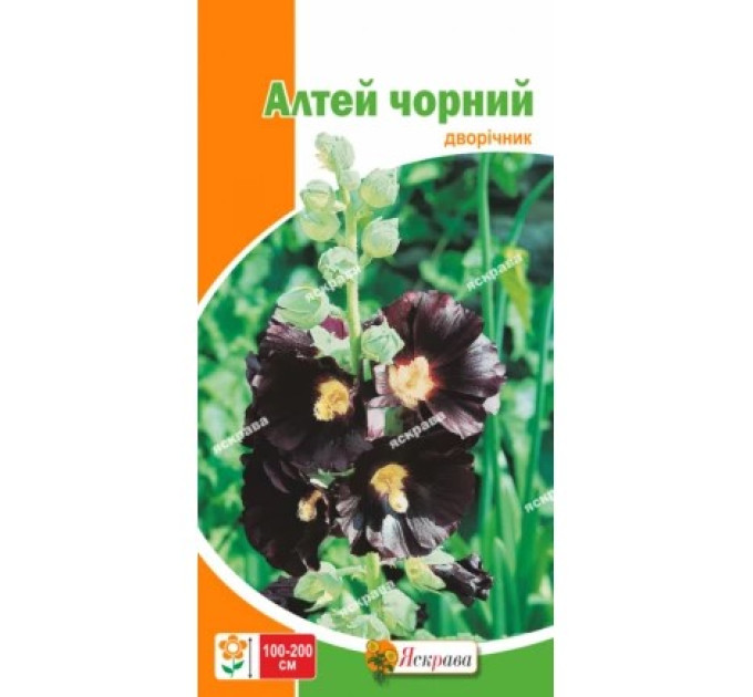 Квіти Алтей чорний (чорна троянда) 0,2г