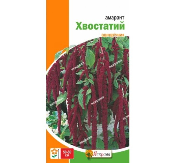 Квіти Амарант хвостатий темно-червоний 0,3г