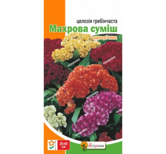 Квіти Целозія Гребінчаста махрова суміш 0,3г