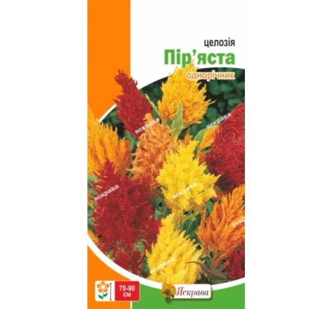 Квіти Целозія Пір'яста 0,2г