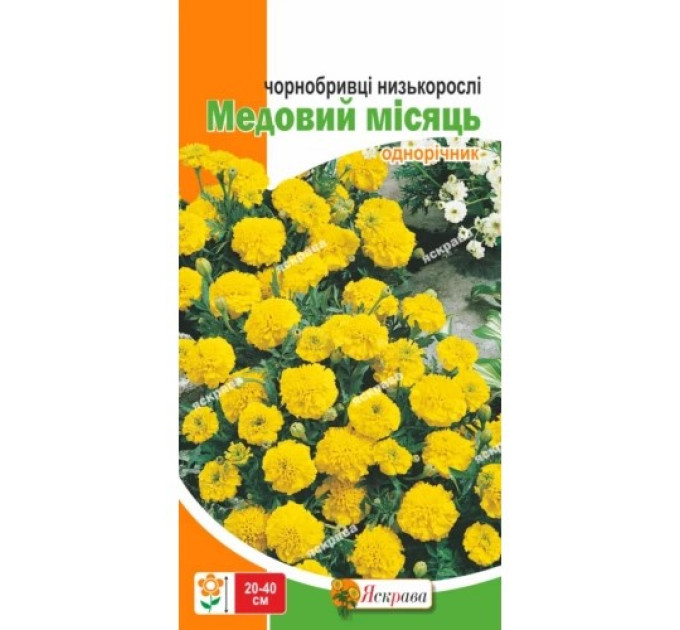 Квіти Чорнобривці низькорослі Медовий місяць 0,5г