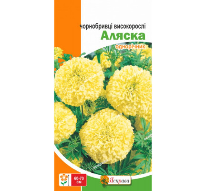 Квіти Чорнобривцi високорослi Аляска 0,5г