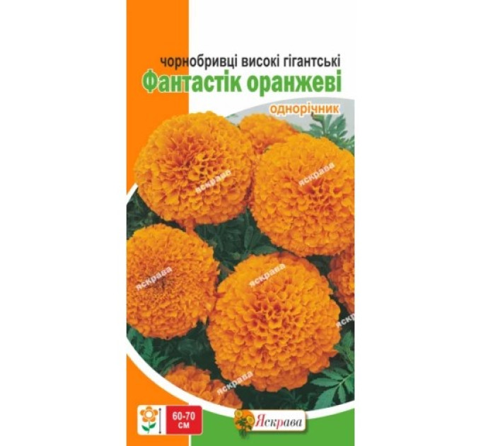 Квіти Чорнобривці високорослі Фантастік оранжеві 0,3г