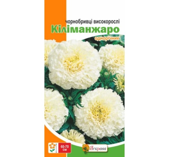 Квіти Чорнобривці високорослі  Кіліманджаро 0,5г