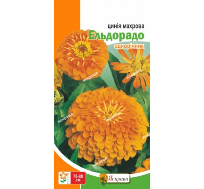 Квіти Цинія махрова Ельдорадо 0,5г