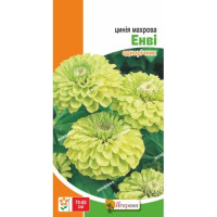 Квіти Цинiя махрова Енві 0,5г