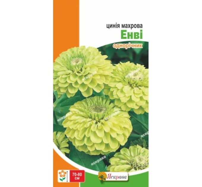Квіти Цинiя махрова Енві 0,5г