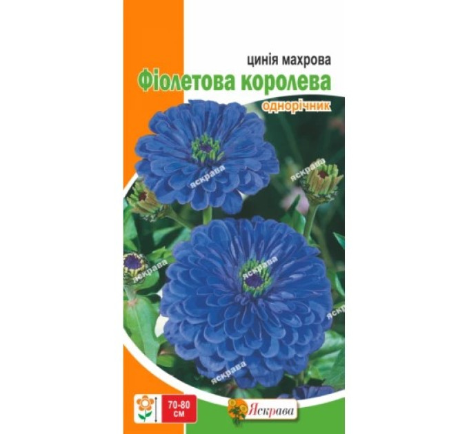 Квіти Цинiя махрова Фіолетова королева 0,5г