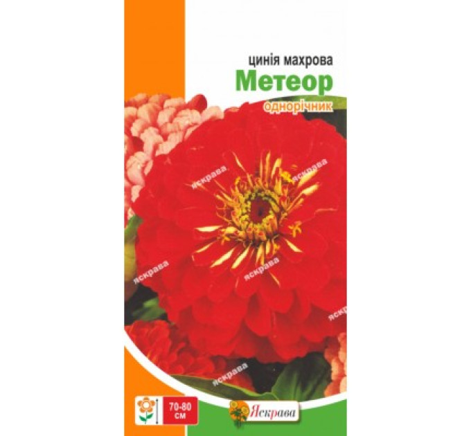 Квіти Цинія махрова Метеор 0,5г