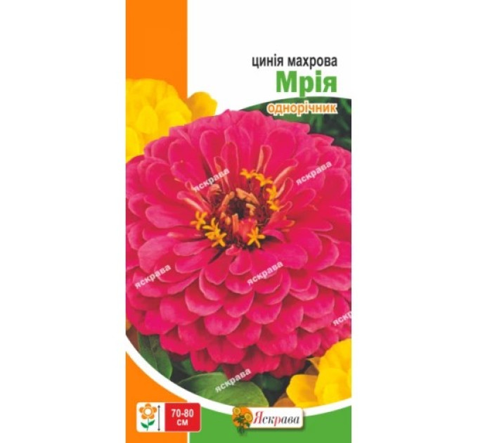 Квіти Цинія махрова Мрія 0,5г