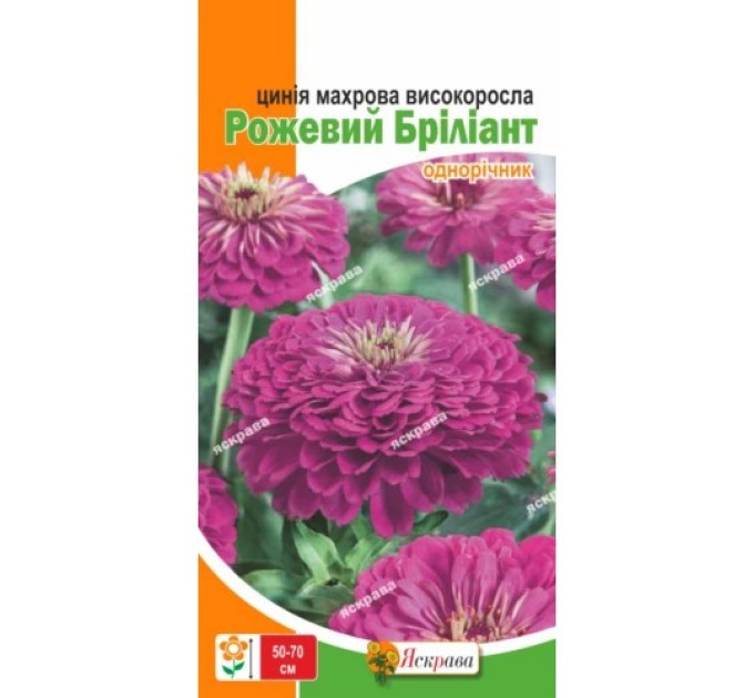 Квіти Цинія махрова Рожевий Бриліант 0,5г