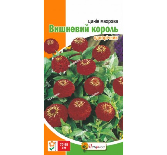 Квіти Цинія махрова Вишневий король 0,5г