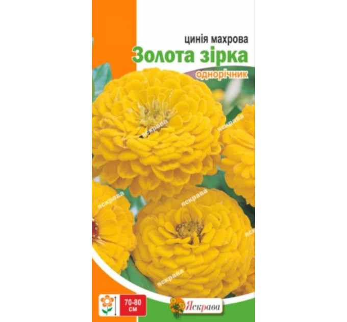 Квіти Цинія махрова Золота зірка 0,5г