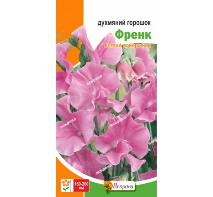 Квіти Духмяний горошок Френк 1г