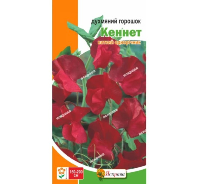 Квіти Духмяний горошок Кеннет 1 г