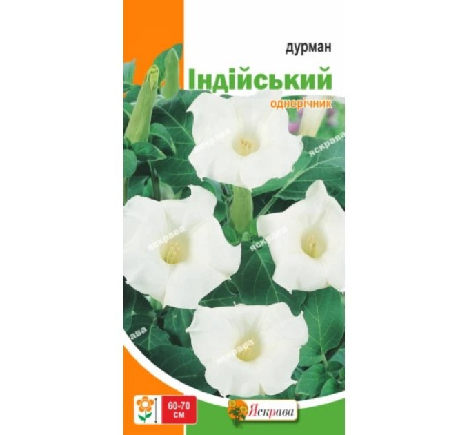 Квіти Дурман Індійський 0,1г