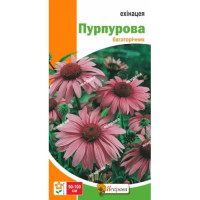 Квіти Ехінацея Пурпурова 0,5г