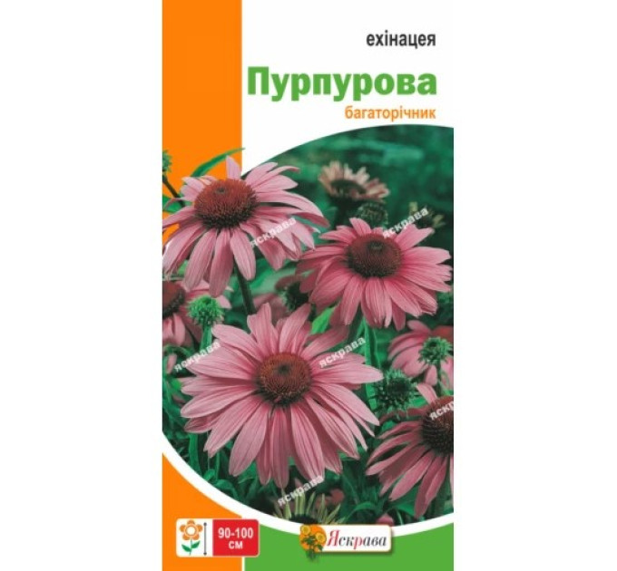 Квіти Ехінацея Пурпурова 0,5г
