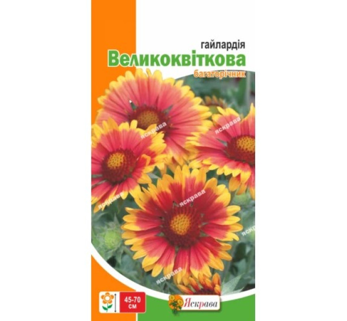 Квіти Гайлардія Великоквіткова 0,3 г