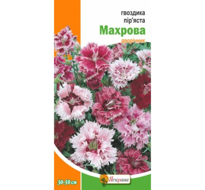 Квіти Гвоздика пір'яста Махрова 0,2г