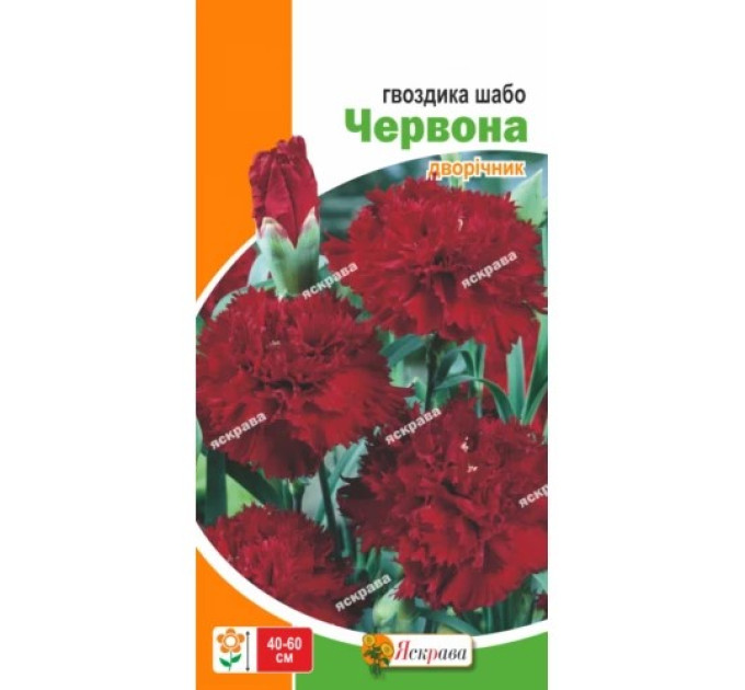 Квіти Гвоздика шабо Червона 0,1г