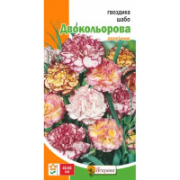 Квіти Гвоздика шабо Двокольорова 0,2г