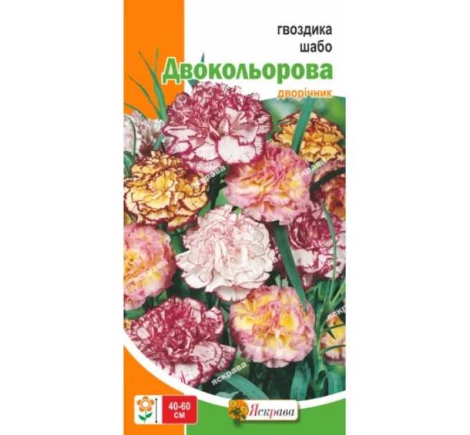 Квіти Гвоздика шабо Двокольорова 0,2г