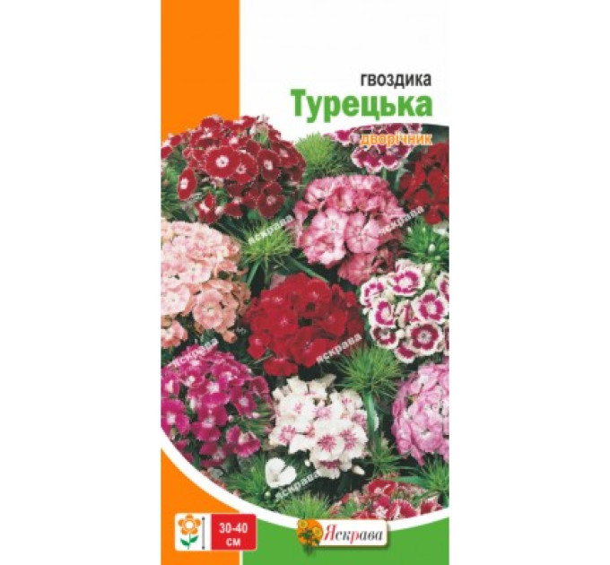 Квіти Гвоздика Турецька 0,5г