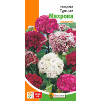 Квіти Гвоздика Турецька махрова 0,5г
