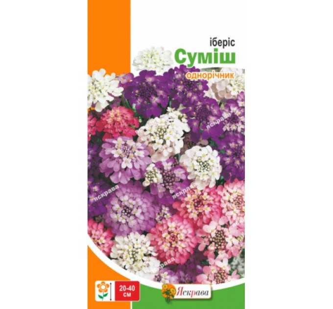 Квіти Іберiс сумiш 1г